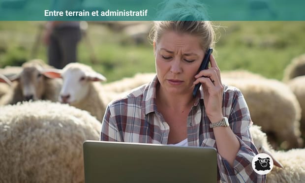 Votre gestion vous prend trop de temps ? Voici par où commencer (sans tout changer) - Épisode 2